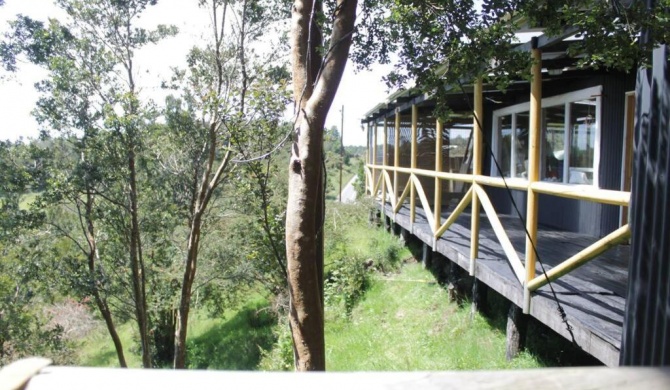 Refugio Familiar en los hermosos bosques de Aucar, Chiloé