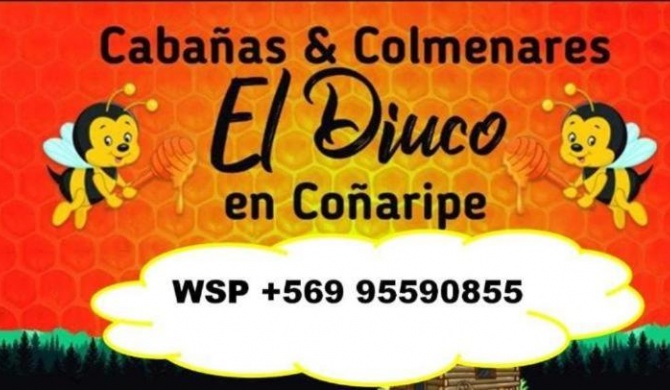 Cabañas El Diuco en Coñaripe 4