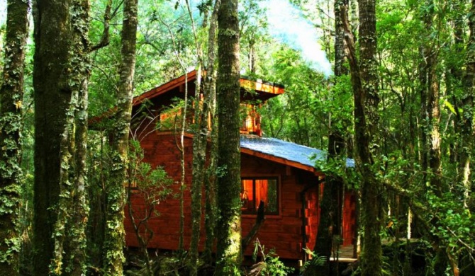 Cabañas Bosque Milenario