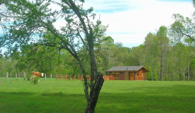 Cabañas Valle del Río