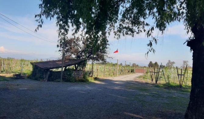 El Carmen de Los Guindos, Las Choicas, Curicó