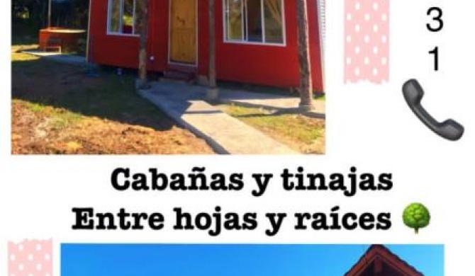 Cabañas y tinajas