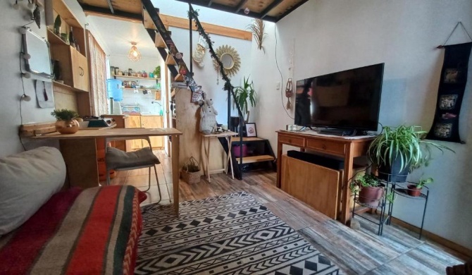 LOFT CASA PISCA