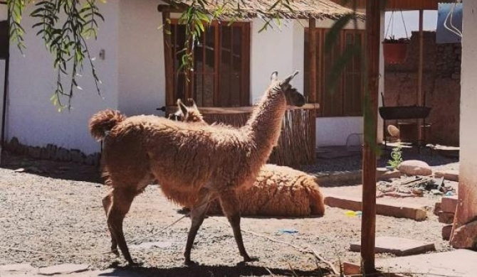 Cabañas, Voyage Atacama