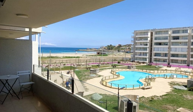 Departamento playa los molles