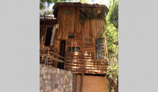 La Casa entre los Árboles en el Valle de Elqui Montegrande