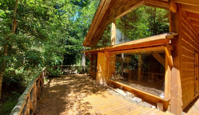 Chalet Vivir el Bosque Huilo Huilo