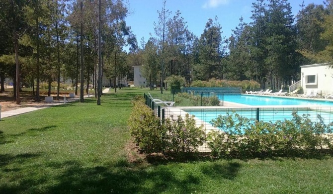 Algarrobo Bosques de la Candelaria