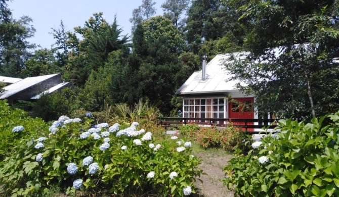 Cabañas Ruca Mahuida