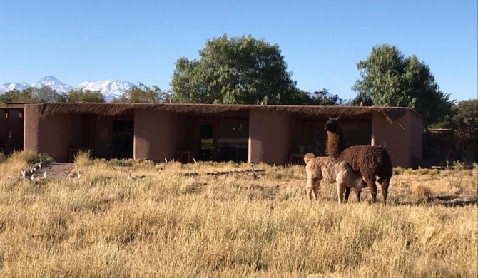 Eco-Lodge El Andinista