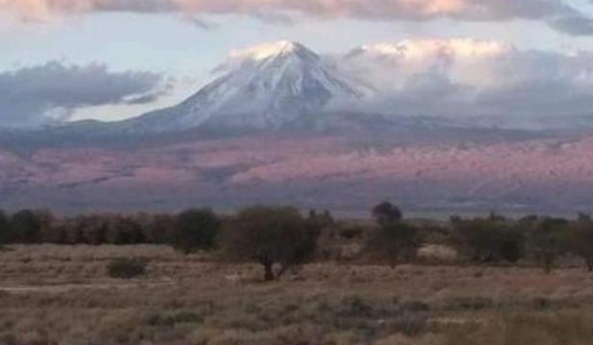 Hostal rancho checar