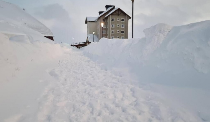 Departamento Valle Nevado, Ski in - Ski out