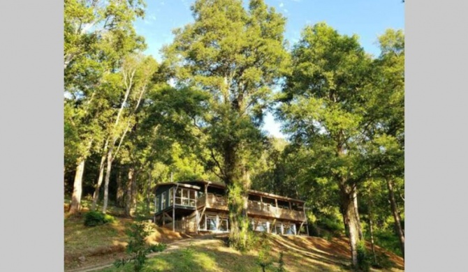 LA CASA EN EL BOSQUE con vista al Río