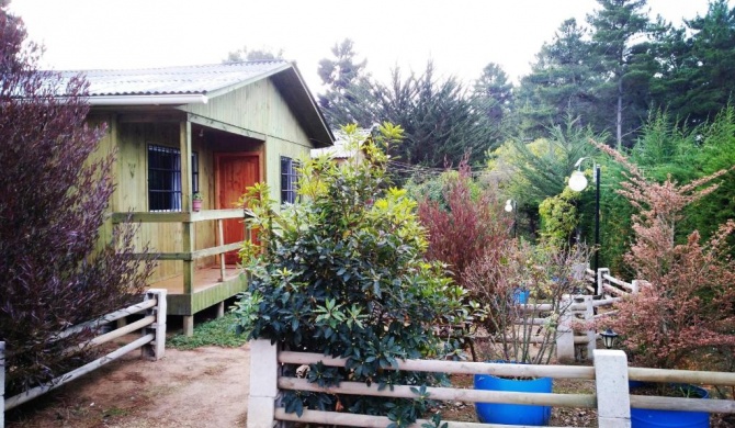 Cabañas El Colibrí