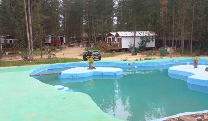 CABAÑAS LA PETRILLA, ALGARROBO