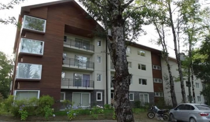 Condominio Pucon Andino