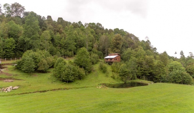 Entre Pampa y Bosque