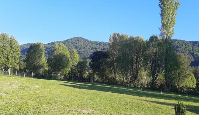 ENTRE PINOS Y LUCEROS ACOGEDORA CABAÑA RÚSTICA