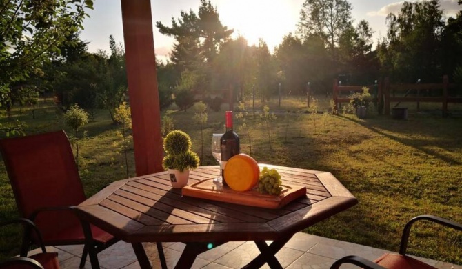 Tranquilidad y descanso en Villarrica - Pucón