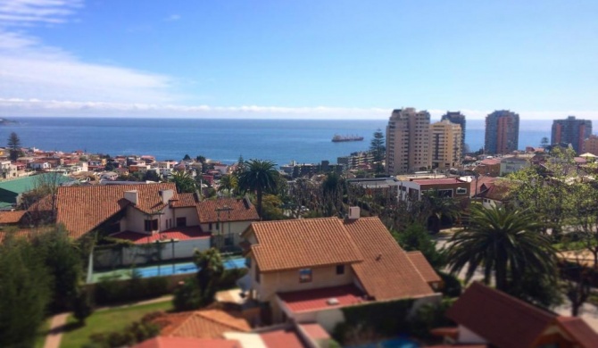 Dpto Viña del Mar